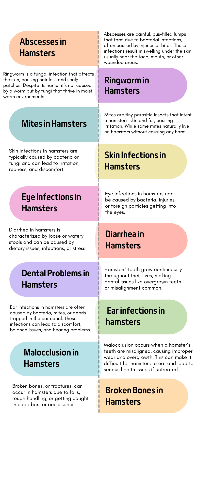 Hamster 20 common diseases short infographics explanation Part 2
