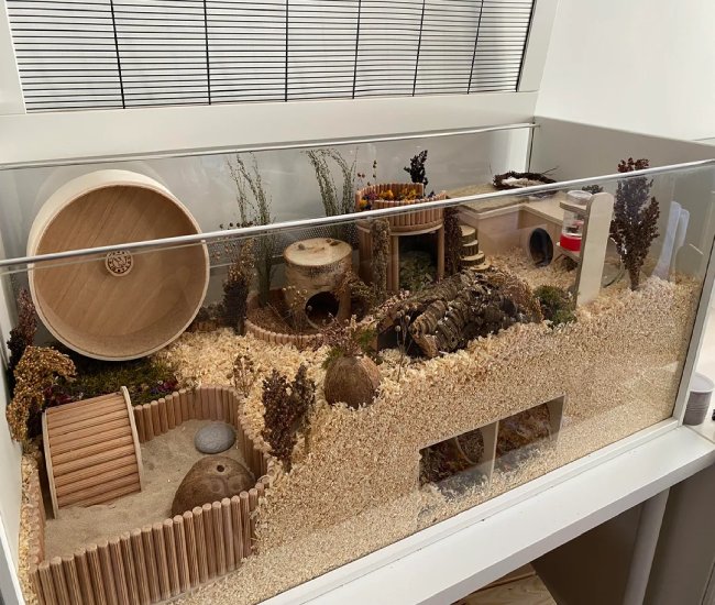 Ensuring the Hamster Cage enclosure is well-built