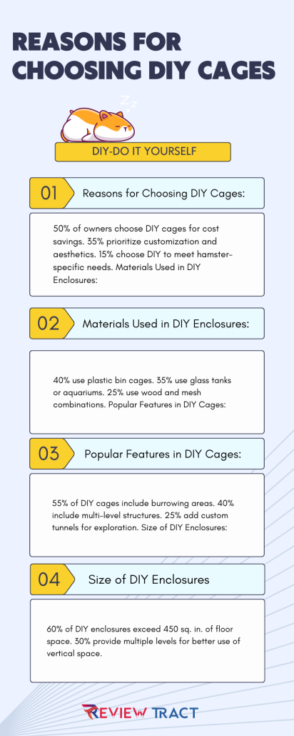 Hamster Enclosure size Infographics statistics