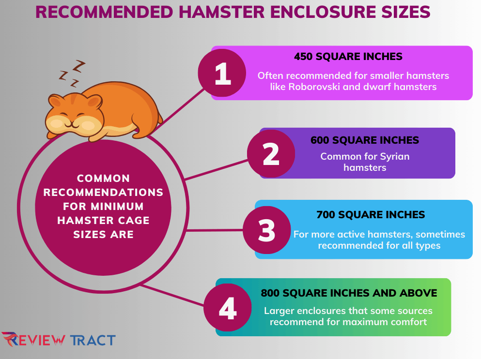 Hamster Enclosure Ideal Size Chart